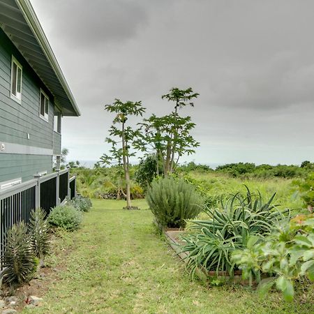 The Aloha Green House Retreat With Ocean Views! Naalehu Zewnętrze zdjęcie