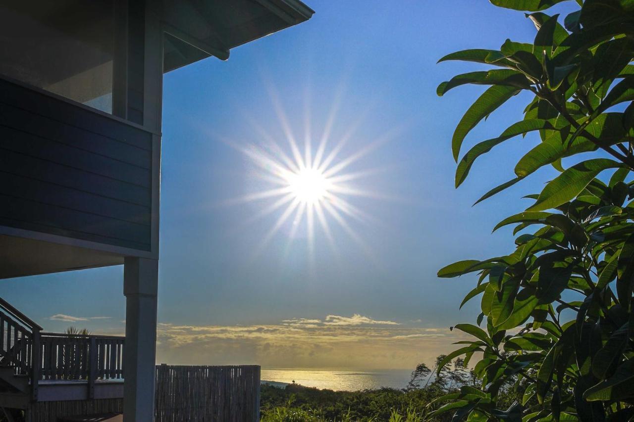 The Aloha Green House Retreat With Ocean Views! Naalehu Zewnętrze zdjęcie